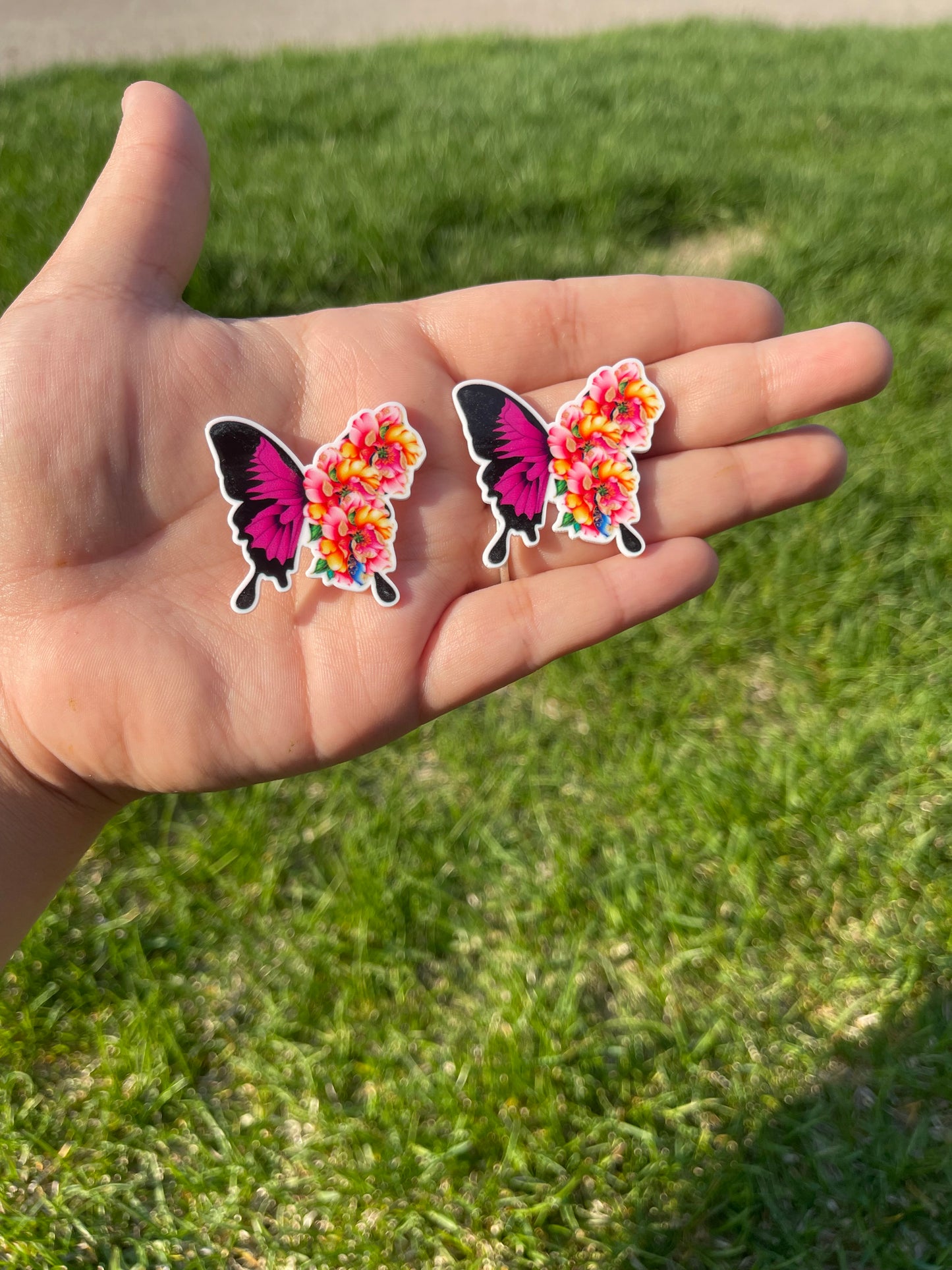 Butterflies with Flowers